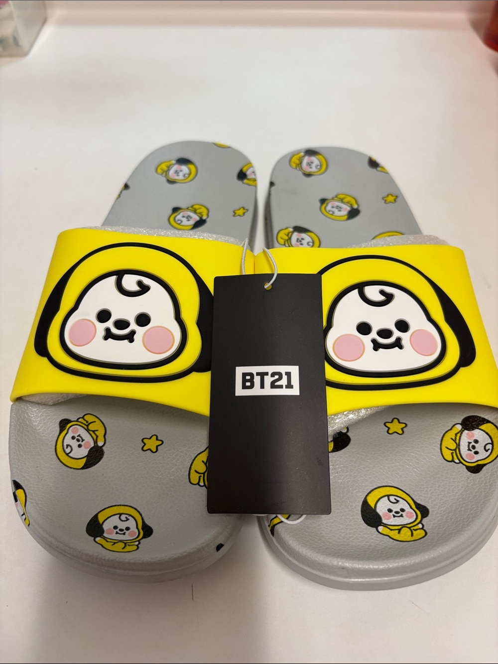 BT21 adult slides